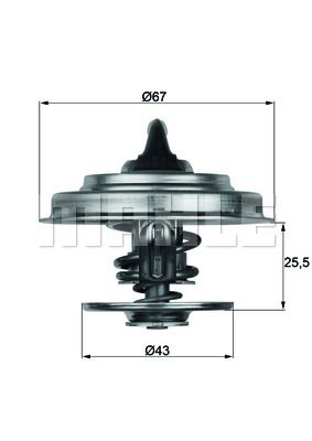 WILMINK GROUP Termostats, Dzesēšanas šķidrums WG1104800